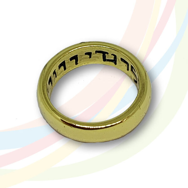 Marina Gold Plated Ani L'Dodi 3mm Ring